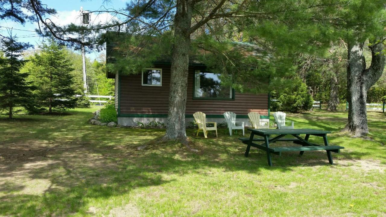 Logging Chain Lodge Cottage Resort Dwight Exterior photo